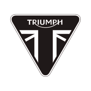 TRIUMPH GBRACING PRODUCTS