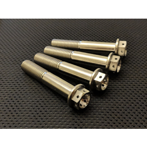 TITANIUM DRILLED HEX HEAD BOLTS FOR BRAKE CALIPERS