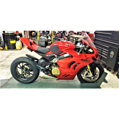 DUCATI PANIGALE V4 S/R (2018 - CURRENT ) - SNAKESKIN