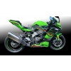 KAWASAKI ZX-4RR (2023- CURRENT) - SNAKESKIN