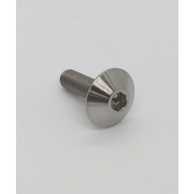 TITANIUM FAIRING OR SCREEN BOLTS