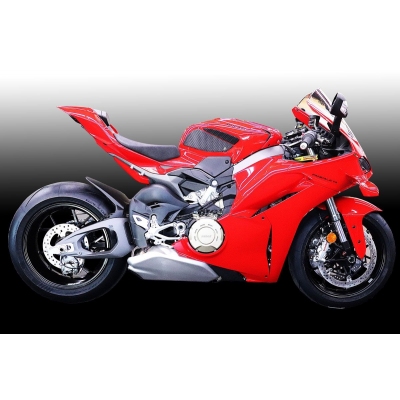 DUCATI PANIGALE V4  (2025 - CURRENT ) - SNAKESKIN
