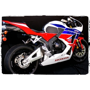 HONDA CBR600RR (2013 - CURRENT) - SNAKESKIN