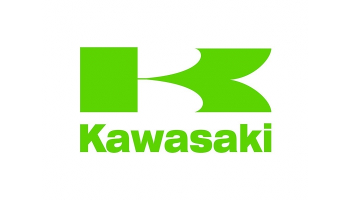 KAWASAKI TANK GRIPS