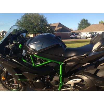 KAWASAKI NINJA H2 (2015 - CURRENT) - SNAKESKIN