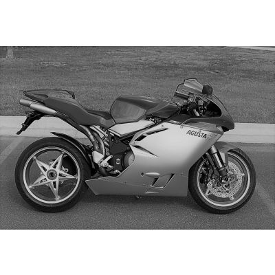 MV AGUSTA F4 750 (1999 - 2005) / F4 1000 (2004 - 2009) - SNAKESKIN