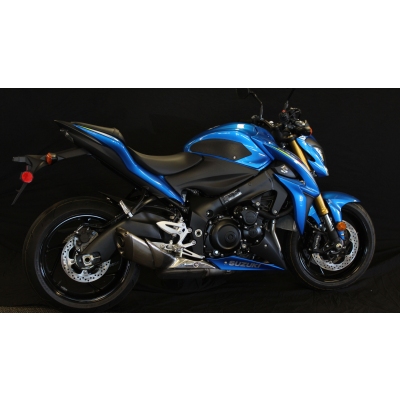 SUZUKI GSXS1000 / GSXS1000F (2016-2021) - SNAKESKIN