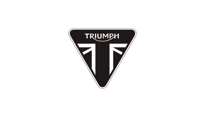 TRIUMPH GBRACING PRODUCTS
