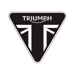 TRIUMPH AIR FILTERS